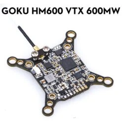 FLYWOO GOKU HM600 VTX 600MW